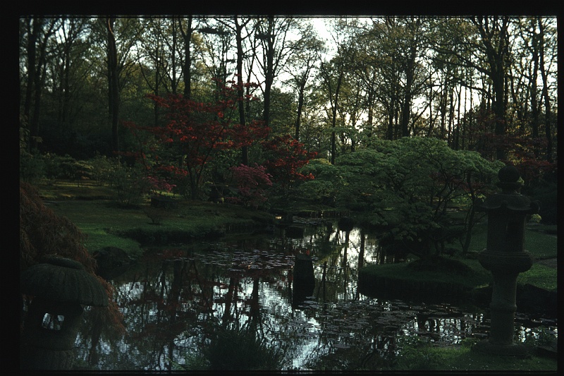 31.JapanseTuin jun 1974.JPG